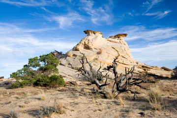 Canvas Print - USA - Utah. Geologic formations near Deer Creek campground in Grand Staircase - Escalante National Monument.