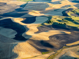  USA, Washington State, Palouse, Whitman County. Aerial photography at harvest time in the Palouse region of Eastern Washington.