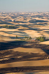 Poster - WA, Whitman County, The Palouse, Palouse farmland in autumn, view from Steptoe Butte