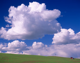 Poster - WA, Whitman County, Palouse, barn and windmill with clouds