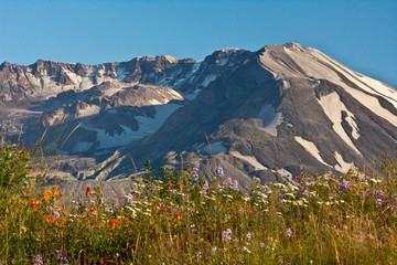 Sticker - Mount St. Helens, evening, summer, Boundary Trail, Washington, USA