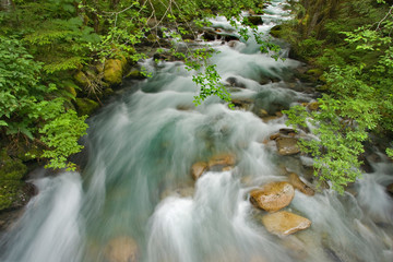 Wall Mural - USA, Washington, North Cascades National Park. Water rushes down Cascade River. 