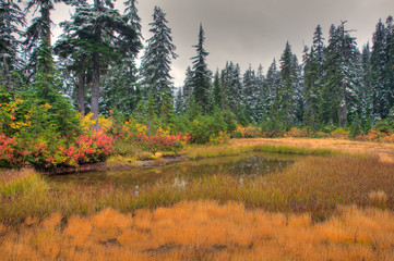 Poster - WA, Henry M. Jackson Wilderness, Alpine Tarn and Meadow