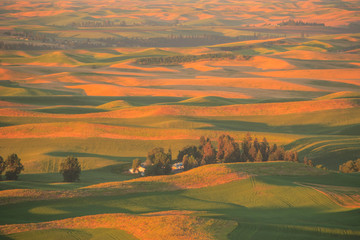 Sticker - Aerial view of Summer Wheat, Barley and Lentil Fields from Steptoe Butte Park, Eastern Washington State, Palouse Area, USA