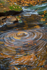 Wall Mural - USA, West Virginia, Blackwater Falls State Park. Whirlpool in stream. Credit as: Jay O'Brien / Jaynes Gallery / DanitaDelimont.com