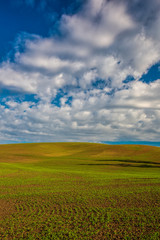 Sticker - USA, Washington State, Palouse, Spring Rolling Hills of Wheat and Fallow fields