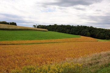 Poster - Farm field, Wisconsin