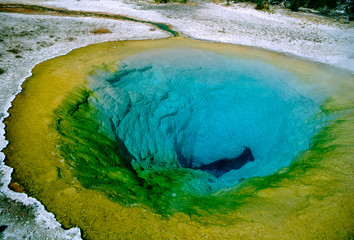 Sticker - North America, USA, Wyoming, Yellowstone National Park. Upper Geyser Basin, Morning Glory Pool.