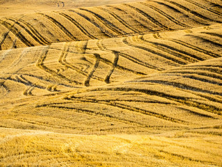 Poster - Pattern in harvested wheat fields