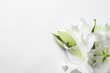 Beautiful lilies on white background, top view