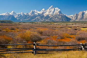 Wall Mural - Autumn color, Grand Tetons, buck and rail fence, from Cunningham Cabin, Grand Teton National Park, Wyoming, USA