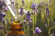 Dropper With Lavender Essential Oil Over Bottle In Blooming Field, Closeup. Space For Text