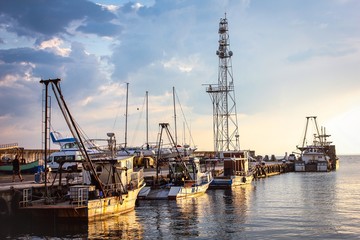 cranes in the port