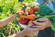 © yanadjan - Child and grandmother in the garden with vegetables in their hands. Selective focus.