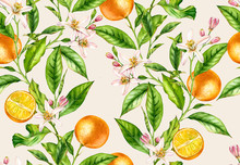 Orange Fruit Branches. Seamless Pattern With Flowers Realistic Botanical Floral Illustration On Light Beige Background Hand Painted 
