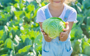 Child with cabbage and broccoli in the hands. Selective focus.