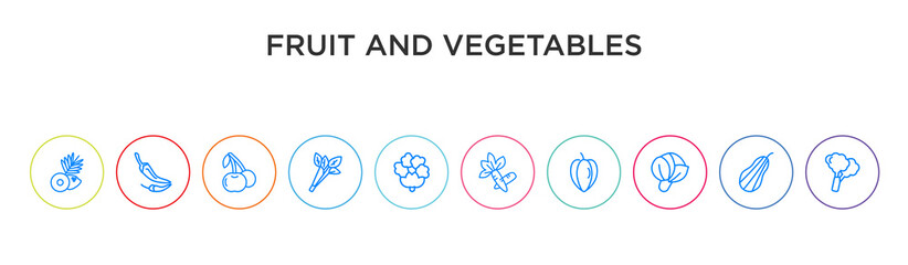 fruit and vegetables concept 10 outline colorful icons