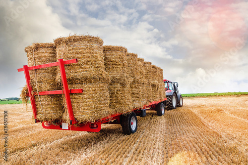 Cuadros en Lienzo collecting straw bales after the harvest
