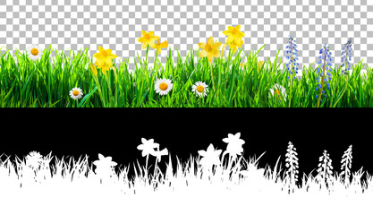 Wall Mural - spring grass and daisy wildflowers isolated with clipping path and alpha channel