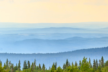 rolling landscape view with shadings in sunrise