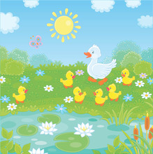 White Duck With Her Little Yellow Ducklings Walking On Green Grass Among Flowers Near A Small Pond With Water Lilies Of A Summer Meadow On A Sunny Day, Vector Illustration In A Cartoon Style