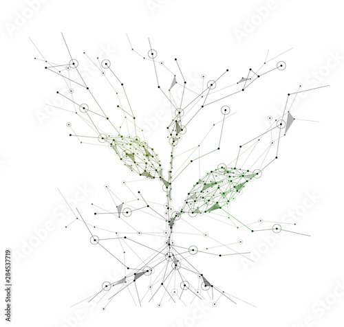 812 Green Dot Thin Wall Murals - Canvas Prints - Stickers