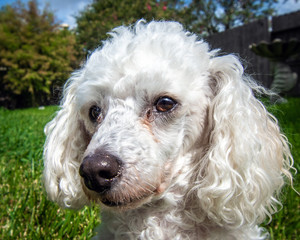 Gabrial in the back yard!