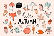 Autumn Collection With Hand  Drawn Seasonal Elements, Vector Design