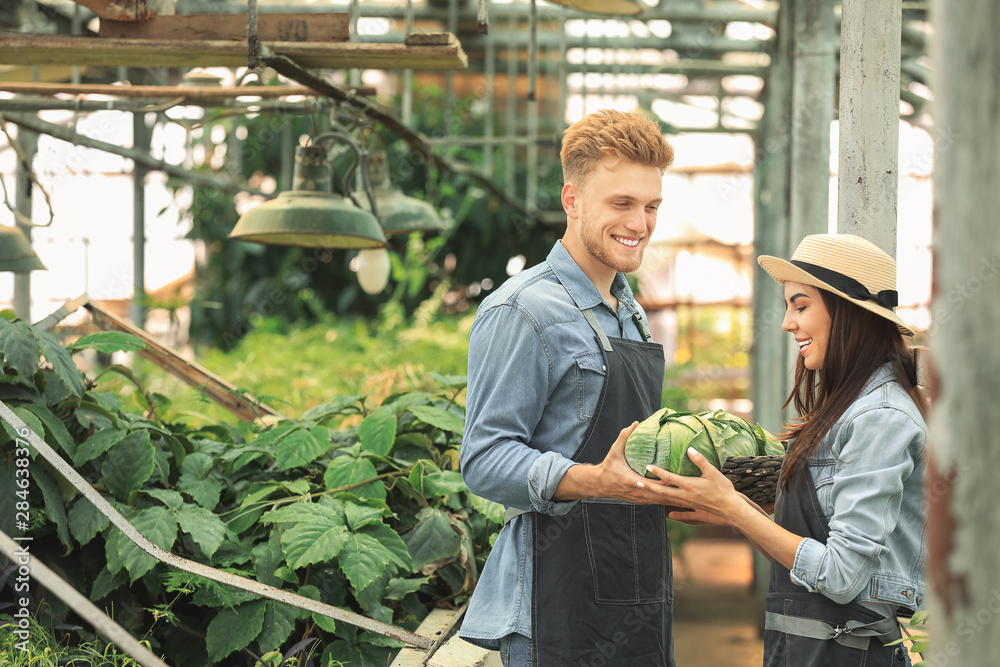 Young gardeners working in greenhouse
