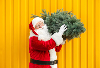 Wall Mural - Santa Claus with fir tree on color background