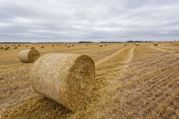 Hay roll in the meadow against a cloudy sky on a wide lens