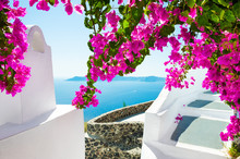 White Architecture And Pink Flowers With Sea View. Santorini Island, Greece.