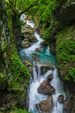 Fototapeta Las - Soca Wasserfall in der Tolmin Schlucht in Slovenien