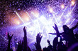 © NDABCREATIVITY - Portrait of happy crowd enjoying at music festival