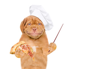 Poster - Smiling puppy in chef's hat with pizza pointing away on empty space. isolated on white background