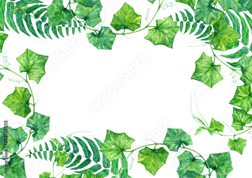 leaf, green, frame, foliage, greenery, nature, garden, floral, botanical, wed...