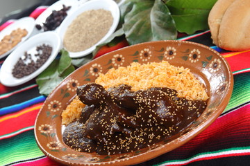 Mexican chicken mole accompanied by all its ingredients