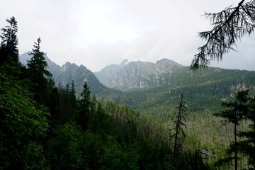 Beautiful High Tatras mountains landscape in  Slovakia near city Old Smokovec. sunny summer day