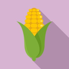 Poster - Corn icon. Flat illustration of corn vector icon for web design