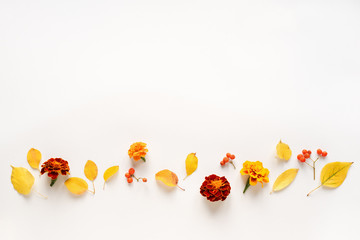 Wall Mural - Autumnal leaves and flowers