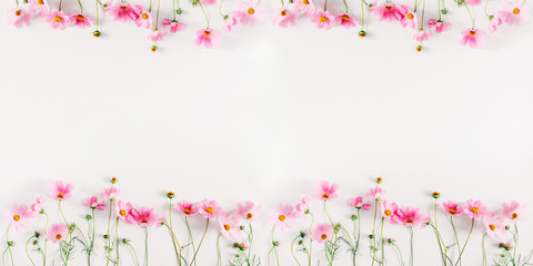 Wall Mural - beautiful flowers composition. pink cosmos flowers on white background. flat lay, top view, copy spa