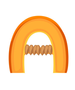 Vegetable letter A pumpkin style cartoon vegetable design flat vector illustration isolated on white background