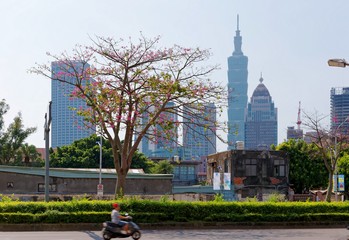 Wall Mural - A street corner in Xinyi District in Downtown Taipei, the vibrant capital city of Taiwan, with a blossoming sidewalk tree and landmark Towers among modern buildings in background on a sunny morning