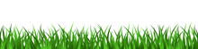 Green Grass Lawn Seamless Border Summer Background