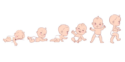 Wall Mural - baby development. baby growth from newborn to toddler scale.