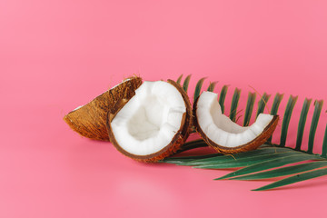 Coconut halves on a bright pink background