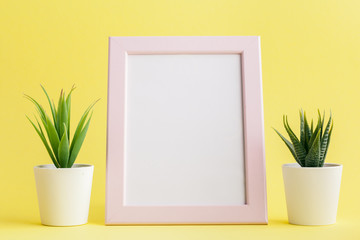 Poster - succulent plant on a yellow background.