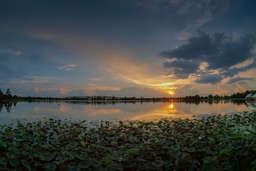 Lake view evening above Lotus lake with cloudy and yellow sun light in the sky background, sunset at Krajub Lake attraction in Ban Pong, Ratchaburi, Thailand.