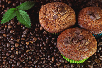 Three coffee chocolate muffins on a background of coffee beans with a green sprig. Close up.