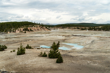 Yellowstone norris geyser